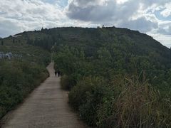 -长虫山生态公园风景林