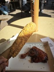 -翱翔飞越地平线