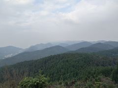 -武陵山森林公园