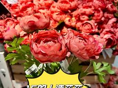 -宜家家居(高新商场店)