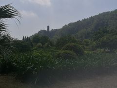 -南沙蒲洲花园