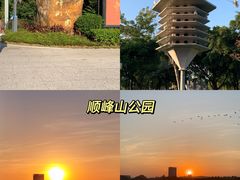 -顺峰山公园