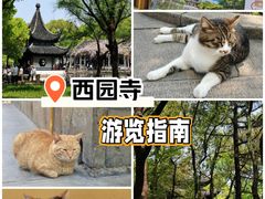 -西园寺