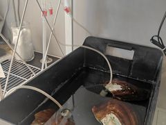 -Oasis绿洲银饰珍珠手作diy(壹方城店)