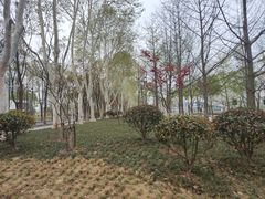 -后襄河公园