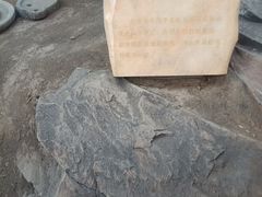 -中国第四纪冰川遗迹陈列馆