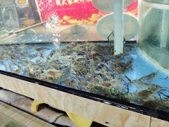 -豪翔盛宴(罗村大道店)
