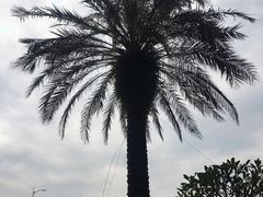 -深圳中海凯骊酒店