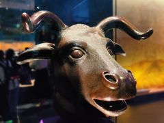 -广西壮族自治区博物馆