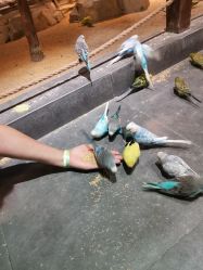 -酷嗒动物文化乐园(cutezoo西溪乐天城店)