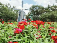 -黑龙江省森林植物园