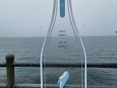 -悦海公园