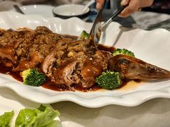 -丁老爷子苏香圆