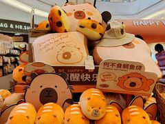 -首开·龙湖成都西宸天街