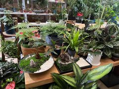 -金陵花卉交易市场