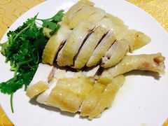 白切湛江鸡-瑞记湛江鸡饭店·粤西第一鸡(粤垦店)