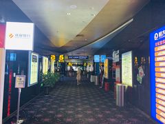 -太平洋影城(紫荆店)