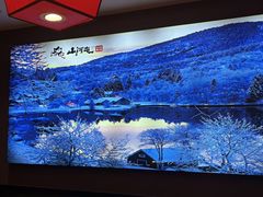 -山河屯铁锅炖鲜鹅·东北菜(开发区一店)