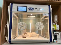 -派联宠物医院·24h·CT·异宠