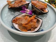 -双井轩(双井店)