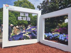 -上海鲜花港