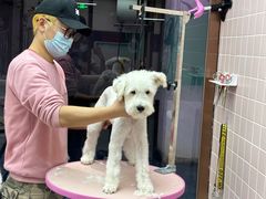 -FAELING PETS美天灵宠物(富力广场店)