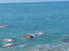 -广东惠东海龟国家级自然保护区