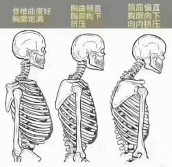 -昕孕瑜伽·孕妇瑜伽·产后修复