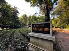 -西湖风景区十里琅珰-五云山