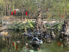 -国恩寺