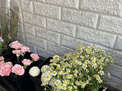 -雪蔓之鲜花气球派对(家佳源时代中心店)