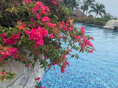 -三亚亚龙湾天域度假酒店