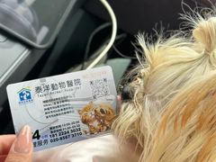-泰洋动物医院·神经专科·磁共振·CT(天河公园总院)