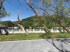 -芦芽山旅游度假区