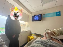 -杭州贝瑞斯美华妇儿医院·早孕·产检·儿科