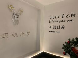 -蚂蚁造型俱乐部
