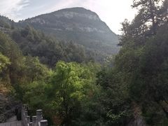 -佛慧山