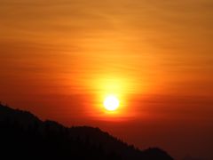 -紫鹊界梯田景区
