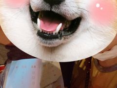 -南楼煎饼(南楼总店)