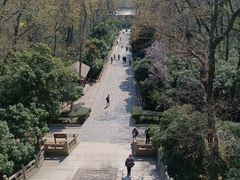 -灵谷景区
