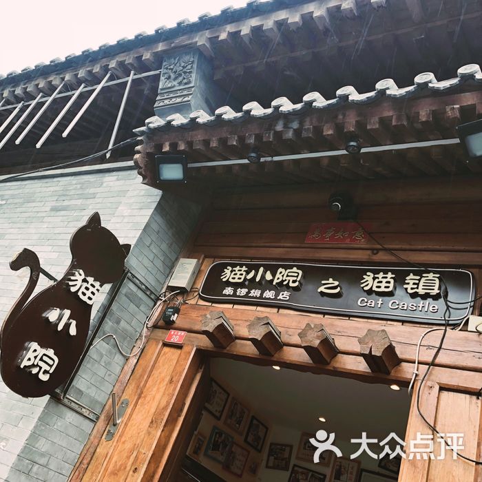 猫小院猫主题餐厅图片-北京创意菜-大众点评网