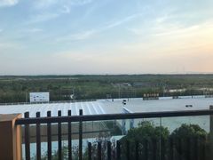 -上海崇明金茂凯悦酒店