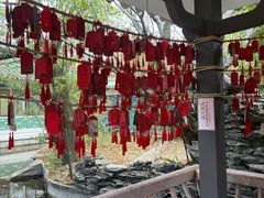 -大雁山风景区