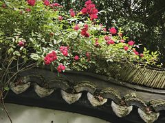 -绮园景区