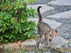 -灵山胜境