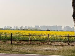 -汉长安城未央宫国家考古遗址公园