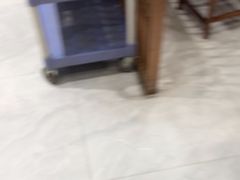 -长平肥姐白粥·海鲜打冷