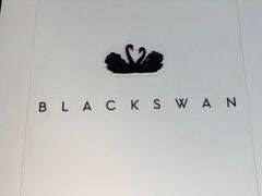 -BLACKSWAN黑天鹅(环球店)