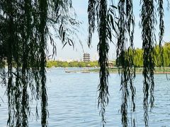 -济南大明湖景区