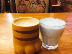 猫爪咖啡-more than meow吴止猫主题餐厅(承德 中船汇店)